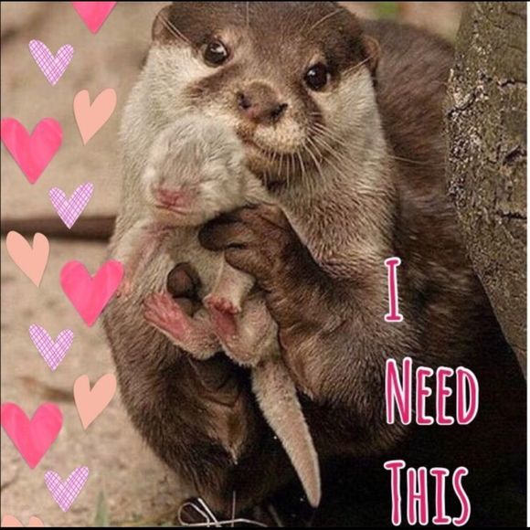 Stunning Vintage Ladies Coat Jackie Kennedy Style Faux Fox Fur Penny Lane - Picture 15 of 15